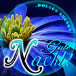 Ícone do programa: Good Night in German