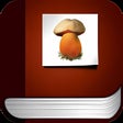 Icono de programa: Funginote