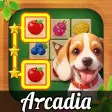 Icon of program: Arcadia Onet Match