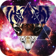程序图标：Hipster Wallpapers