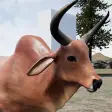 Happy Zebu Cow Simulator