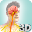 أيقونة البرنامج: Nervous System Anatomy Pr…