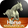 Horse Mannequin
