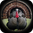 Programikonen: Turkey Hunting Calls