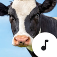 Icoon van programma: Cow Sounds