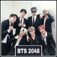 Icoon van programma: BTS 2048