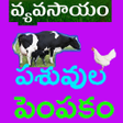 Icon of program: Pasuvula Pempakam