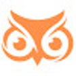 Programikonen: Facebook Owl