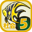 Icon of program: ビノバ 社会-小学生5年生- 地理や地図をドリルで…