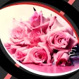 Live Wallpapers - Glitter Rose