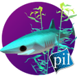 Ikona programu: PI VR Oceans