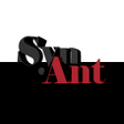 Programikonen: SynAnt: Word Puzzle