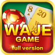 Programikonen: Waje Game Full Version