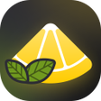 Programikonen: Lemon Net