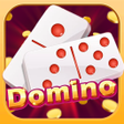 程序图标：Higgs Demo Domino