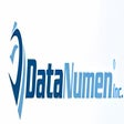 Icona del programma: DataNumen RAR Repair (DRA…