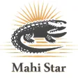 Mahi Star - Online Matka Play