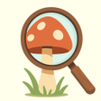 Ikona programu: Mushroom Tracker