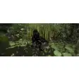 Ninja Third Person View With Better Walk Controls