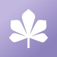 Icon of program: 1551