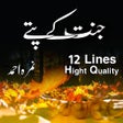 Иконка программы: Jannat Kay Patty - HD