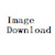 Biểu tượng của chương trình: Image Downloader