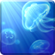 ไอคอนของโปรแกรม: Live Jellyfish
