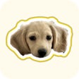 ไอคอนของโปรแกรม: Fluff - Only Pets