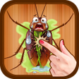 プログラムのアイコン：Cockroach Smasher Game
