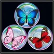 Programikonen: Fly Bubble Shooter