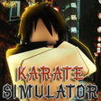 ไอคอนของโปรแกรม: UPDATEKarate Simulator