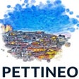 程序图标：Pettineo