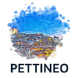 プログラムのアイコン：Pettineo
