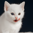 Icon of program: Cat Live Wallpaper