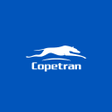 プログラムのアイコン：Copetran