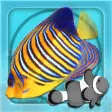 Ícone do programa: MyReef 3D Aquarium