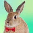 Ikon program: Adopt A Rabbit : Virtual …