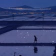 Icoon van programma: Starlit Landscape Wallpap…