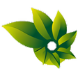 Icon of program: Photosynth