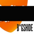 Иконка программы: B*gshide