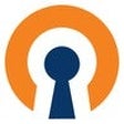 Icon of program: OpenVPN