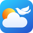 Programikonen: Real Time Weather