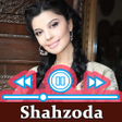 Иконка программы: Shahzoda