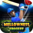 Icon of program: Mellowness Cricket