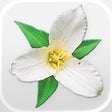 Ícone do programa: Washington Wildflowers
