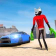 Programikonen: Grand Cartoon Cat Games S…