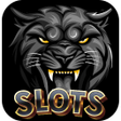 Ikon program: Black Panther 567 Slots