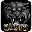 Black Panther 567 Slots