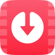 Programikonen: All Video Downloader