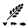 Icon of program: Feed Calculator